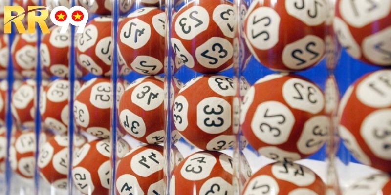 Hướng dẫn từ A-Z mẹo nuôi lô khung hiệu quả ngay hôm nay