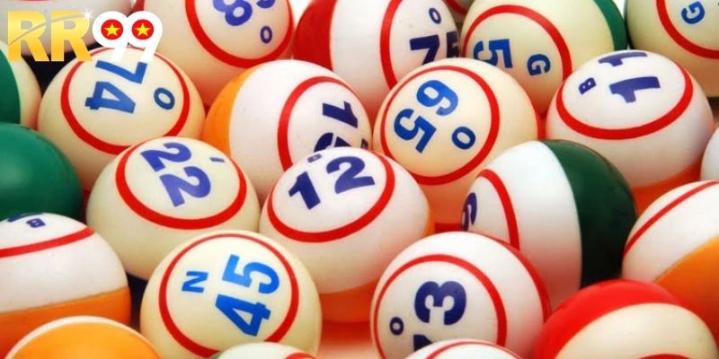 Kinh nghiệm nuôi lô khung hiệu quả mà bạn nên thử 2026