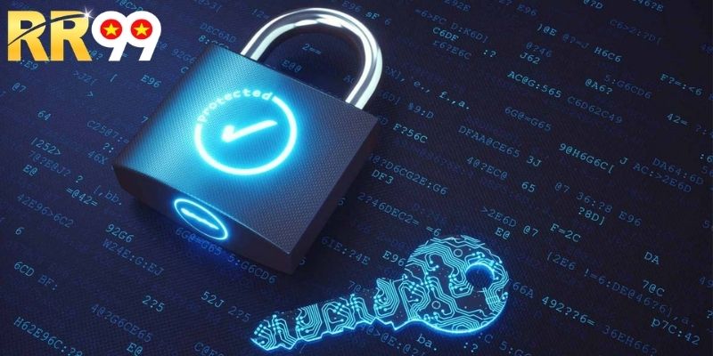 Tổng quan các thông tin hữu ích về chính sách bảo mật RR99